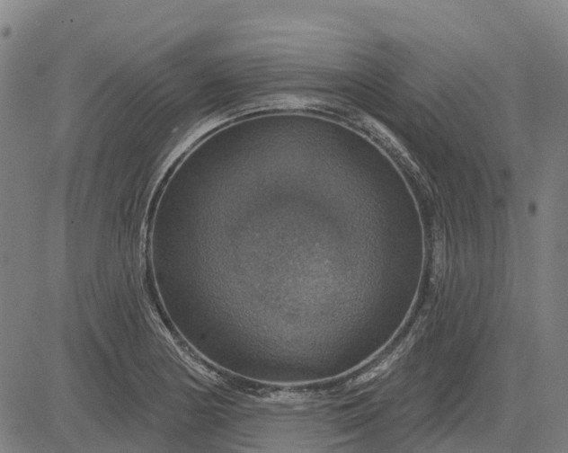 X0000084541178200703091646