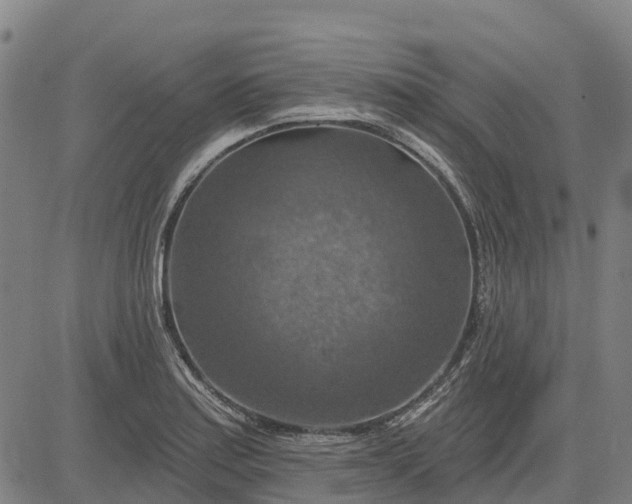 X0000084541179200703091646