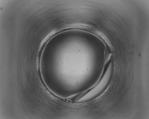 X0000084541180200703091646