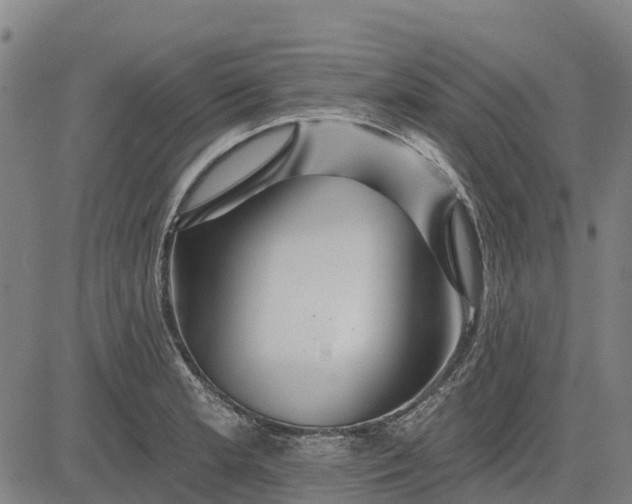 X0000084541181200703091646