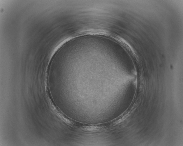 X0000084541182200703091646