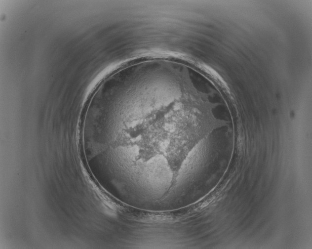 X0000084541183200703091646