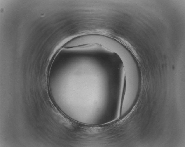 X0000084541184200703091646