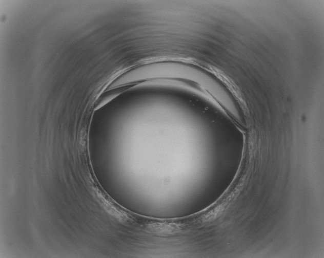 X0000084541185200703091646