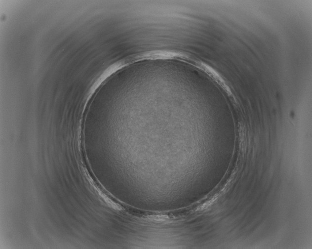 X0000084541186200703091646