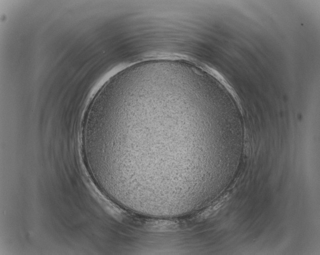 X0000084541187200703091646