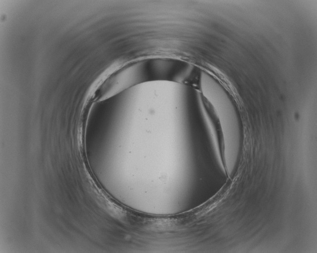 X0000084541188200703091646