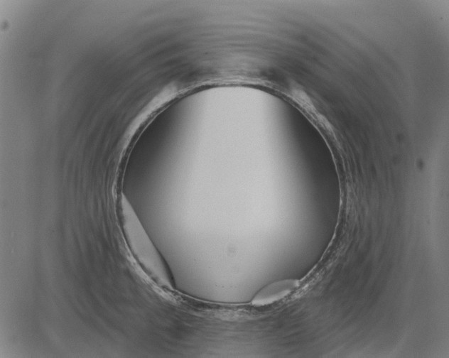 X0000084541189200703091646