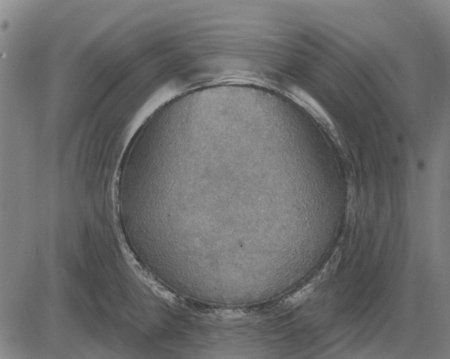 X0000084541190200703091646