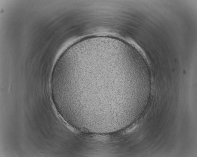 X0000084541191200703091646