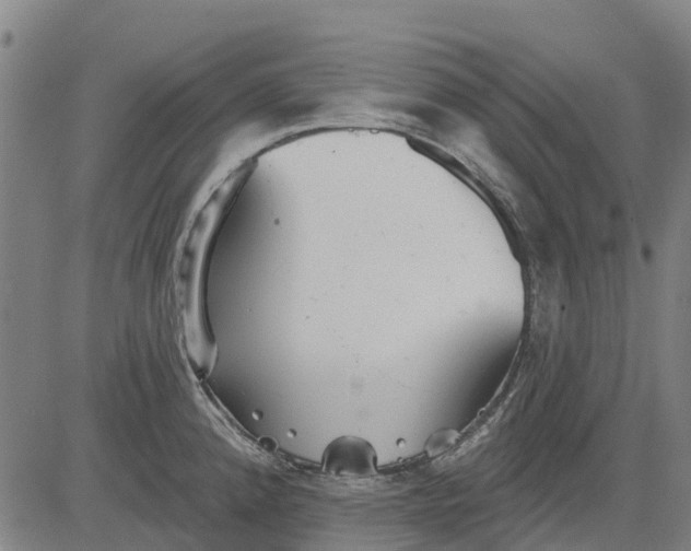 X0000084541192200703091646