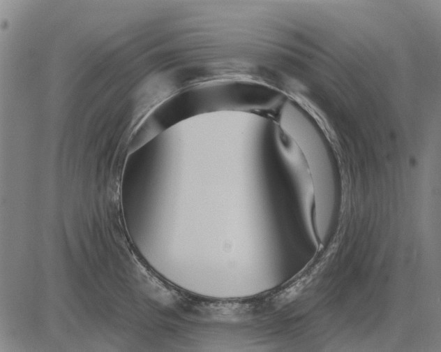 X0000084541193200703091646