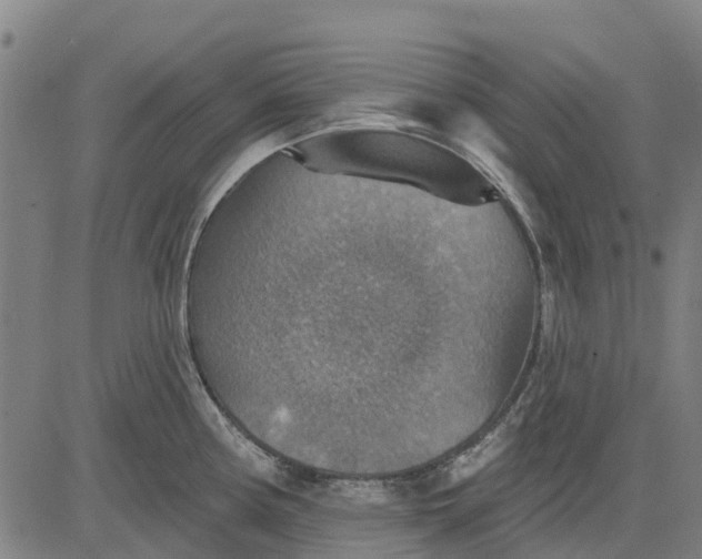 X0000084541194200703091646