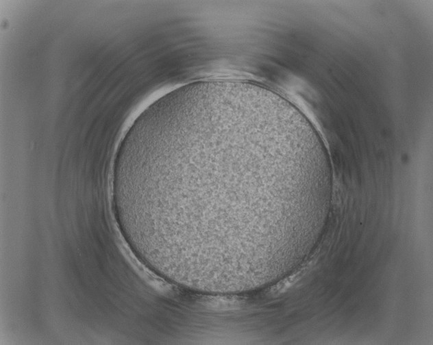 X0000084541195200703091646