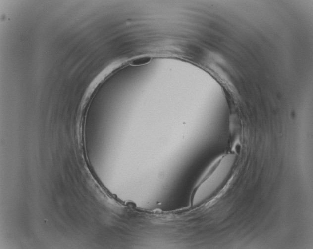 X0000084541196200703091646