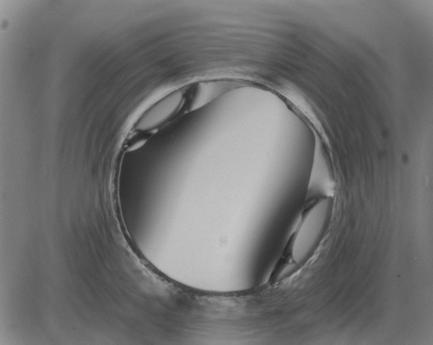 X0000084541197200703091646