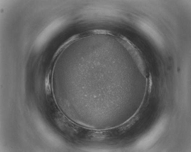 X0000084541198200703091646