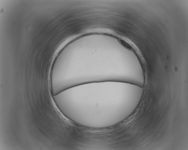 X0000084541199200703091646