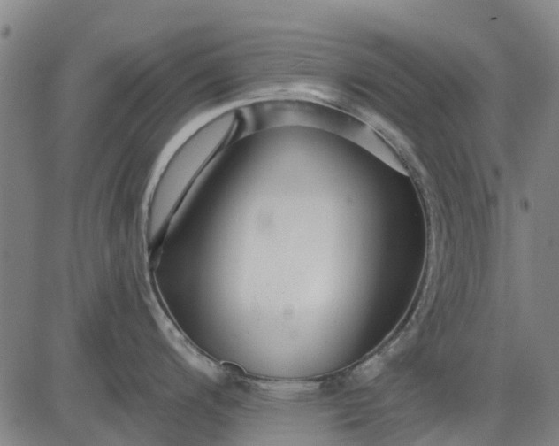 X0000084541200200703091646