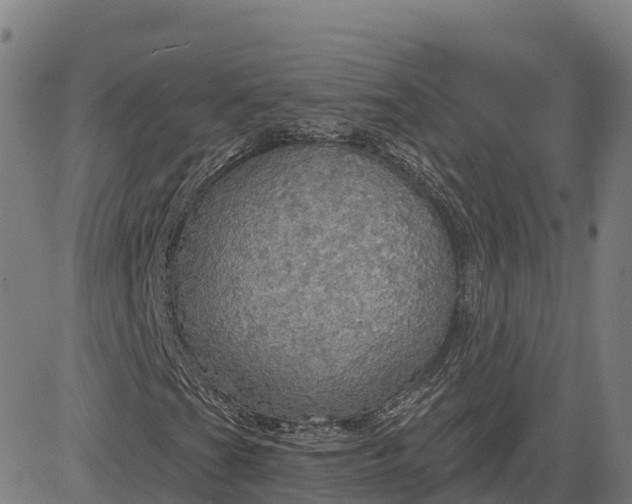 X0000084541201200703091645