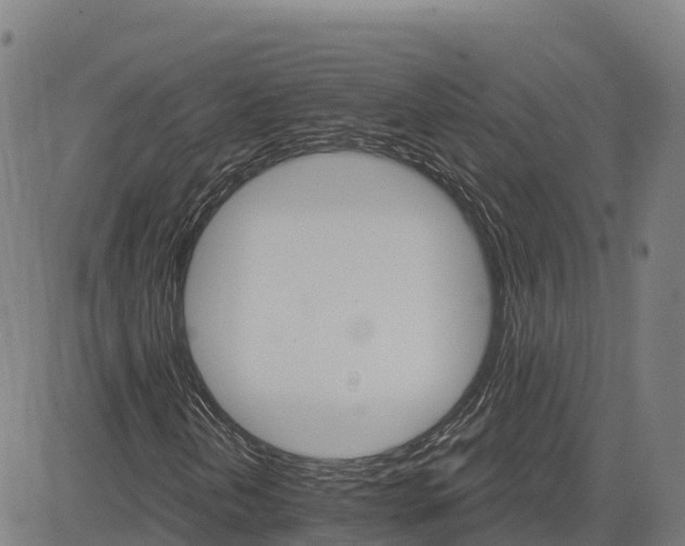 X0000084541202200703091645