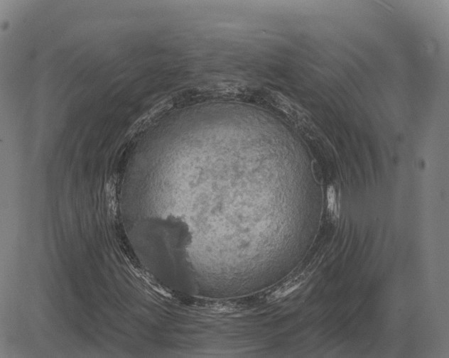 X0000084541203200703091645