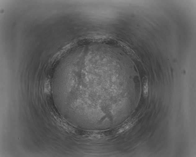 X0000084541204200703091645