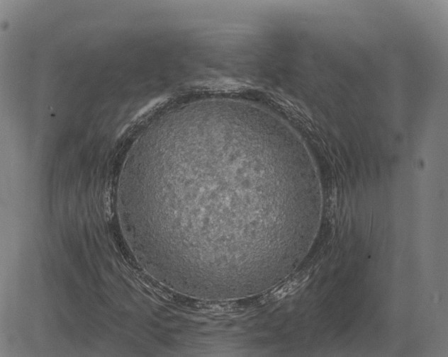 X0000084541205200703091645