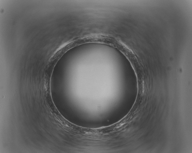 X0000084541206200703091645