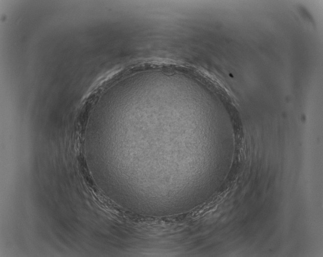 X0000084541207200703091645