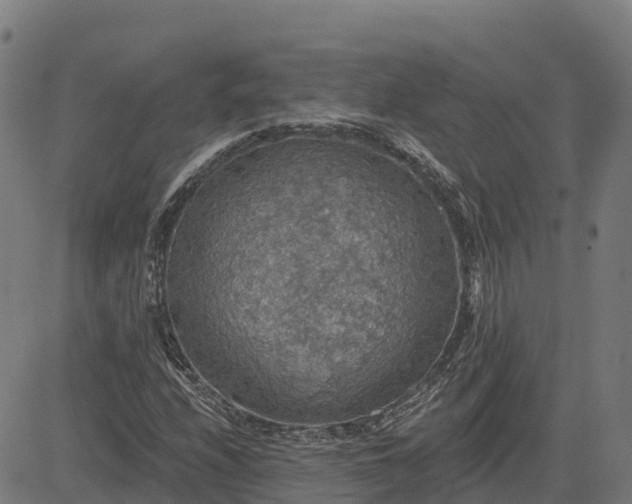 X0000084541208200703091645