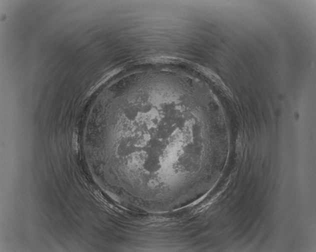 X0000084541209200703091645