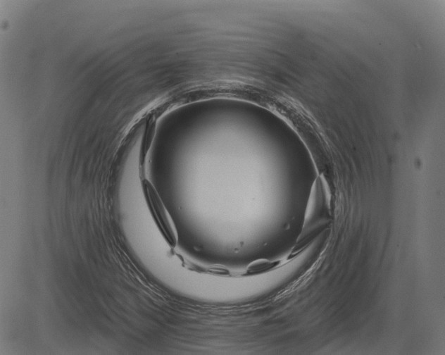 X0000084541210200703091645