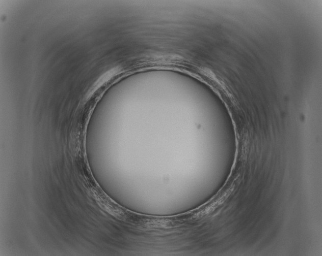 X0000084541211200703091645