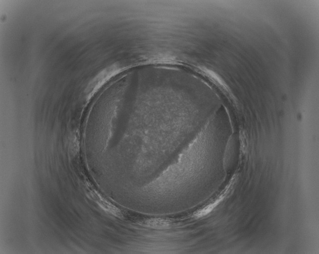 X0000084541212200703091645