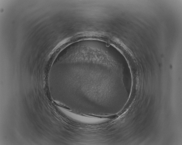 X0000084541213200703091645