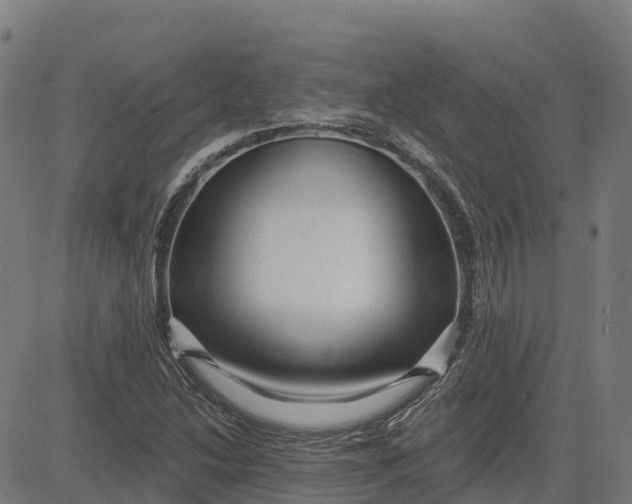 X0000084541214200703091645