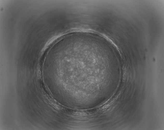 X0000084541215200703091645