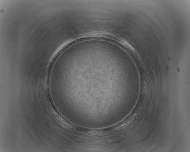 X0000084541216200703091645