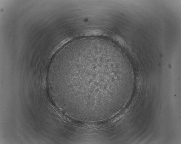 X0000084541217200703091645