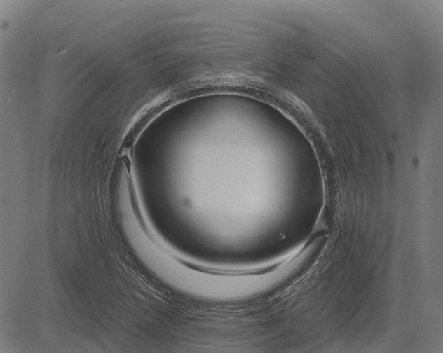 X0000084541218200703091645