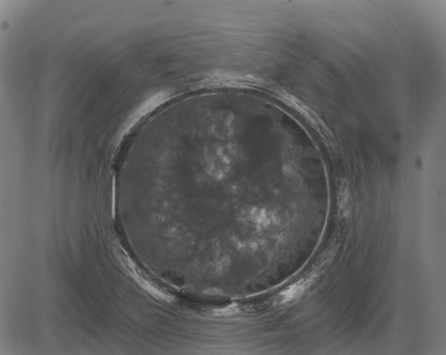 X0000084541219200703091645