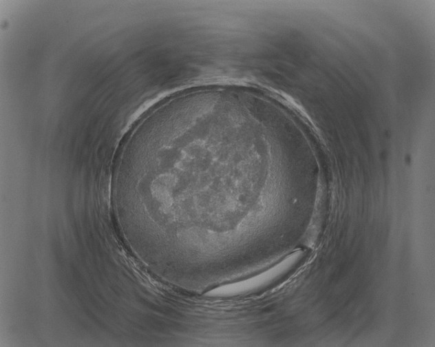 X0000084541220200703091645