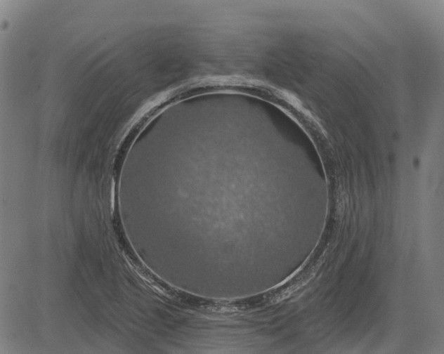 X0000084541221200703091645