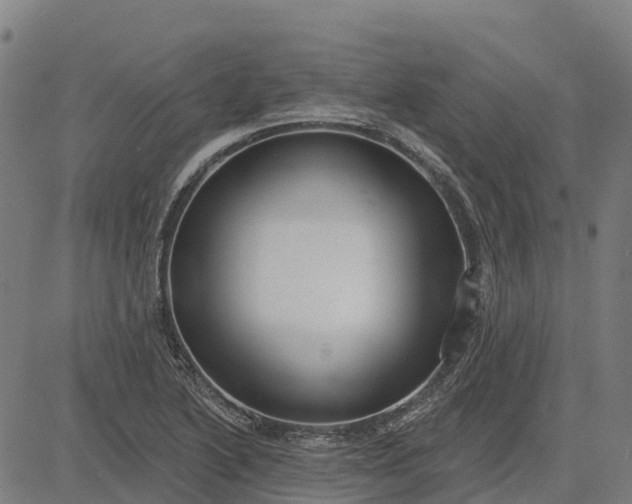 X0000084541222200703091645