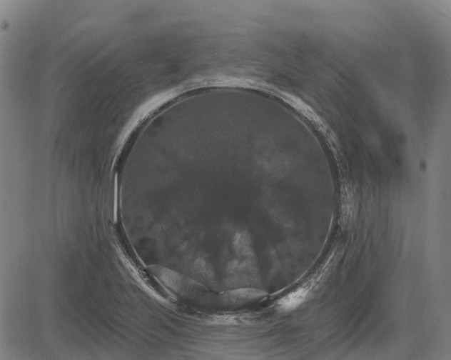 X0000084541223200703091645