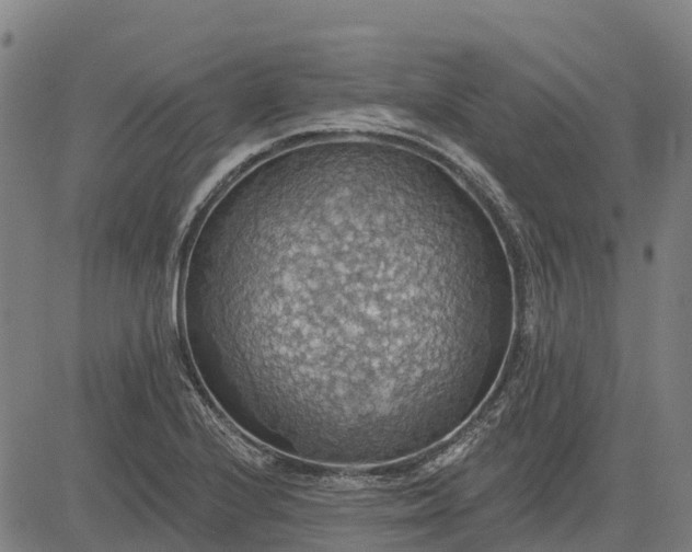 X0000084541224200703091645