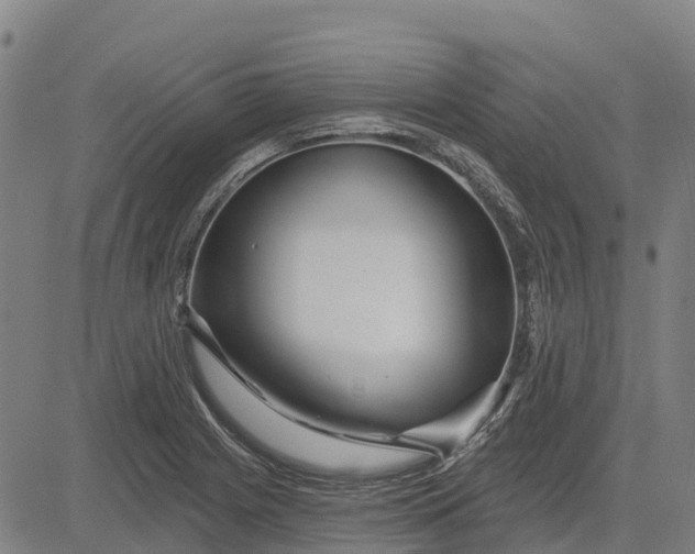 X0000084541225200703091645