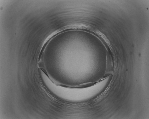 X0000084541226200703091645