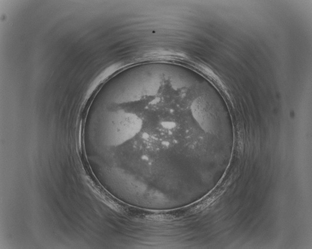 X0000084541227200703091645